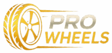 Pro-ws